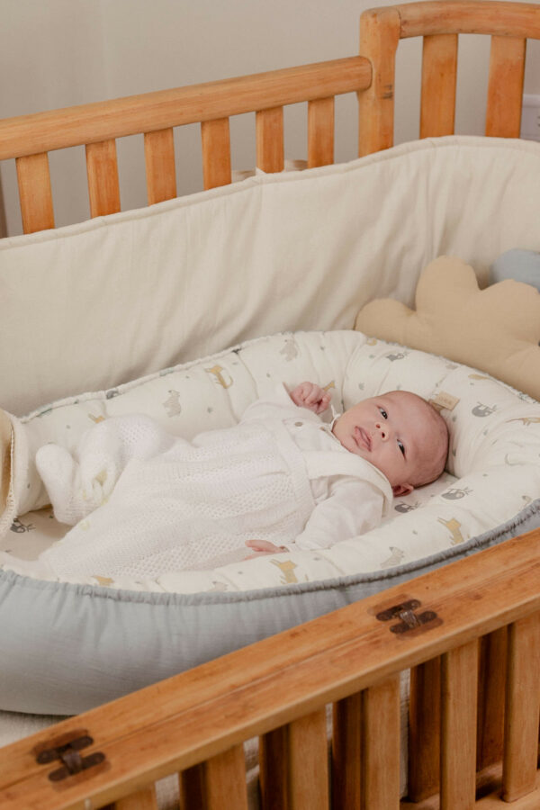 Nidito de Contención - JUNGLA