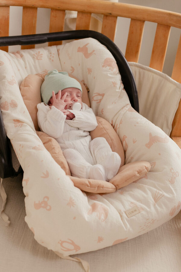 Funda de Huevito y Butaca